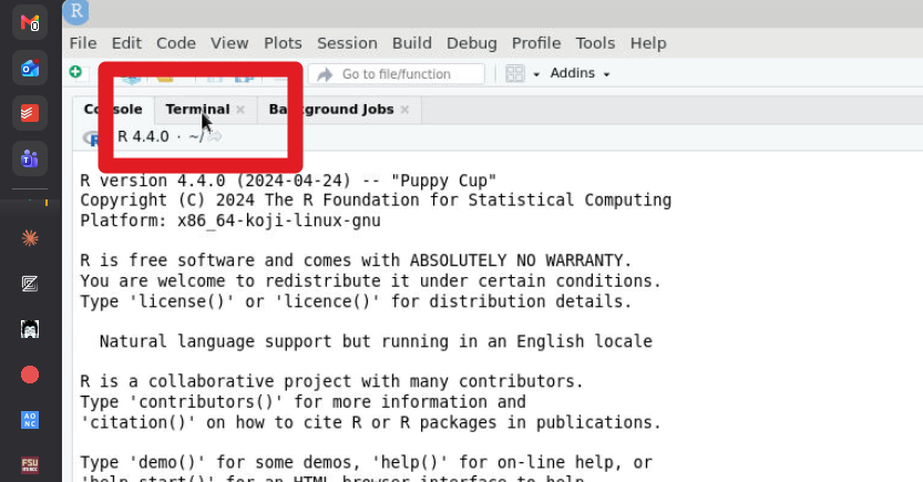 Click on the tab or press Alt+Shift+R to invoke a new shell in RStudio
