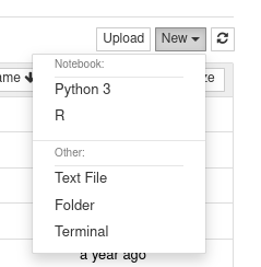Select the version of "R" you would like to use with Jupyter Notebooks