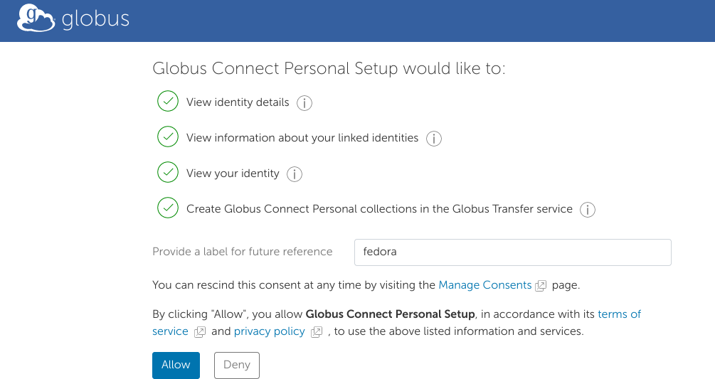 On the webpage that appears, verify the permissions are okay, and provide a label. Click the "Allow" button.